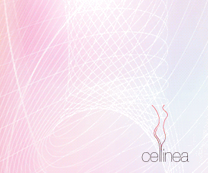 Cellinea - celulita